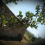 Antica Masseria Ficazzana - Tenuta