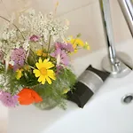 Antica Masseria Ficazzana - Tenuta 4*