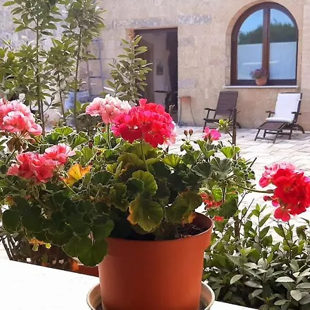 Frühstückspension Antica Masseria Ficazzana - Tenuta Marina Di Pescoluse