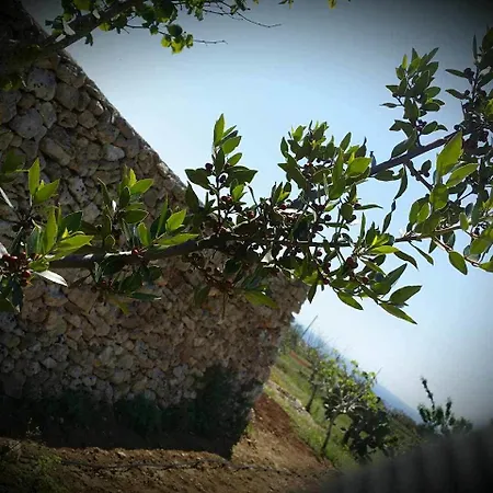 Antica Masseria Ficazzana - Tenuta