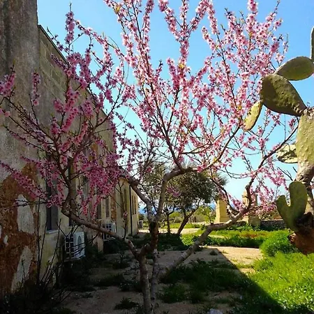 Antica Masseria Ficazzana - Tenuta