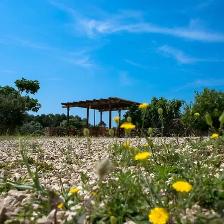 Antica Masseria Ficazzana - Tenuta 3*